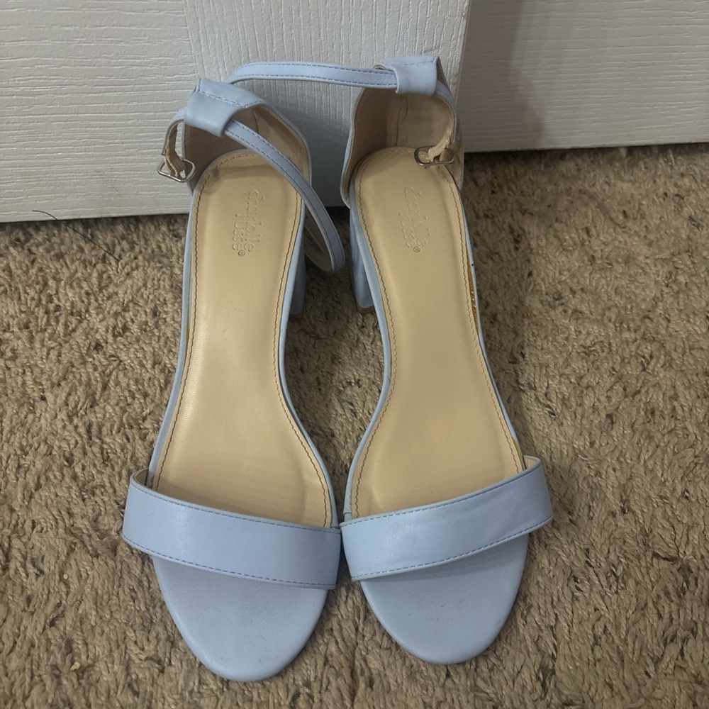Elegant Light Blue Women's Heels